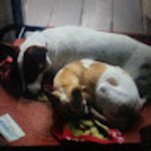 Meet your Posher, Anahi